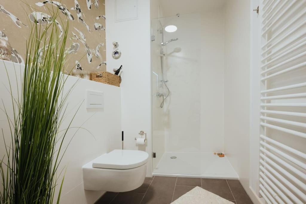Apartamento Exklusiv, Zentral, Terrasse: 2-zi-app. Bis 4 Pers