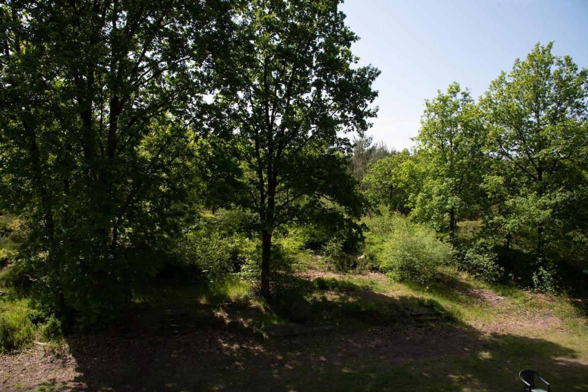 Heideparadies
