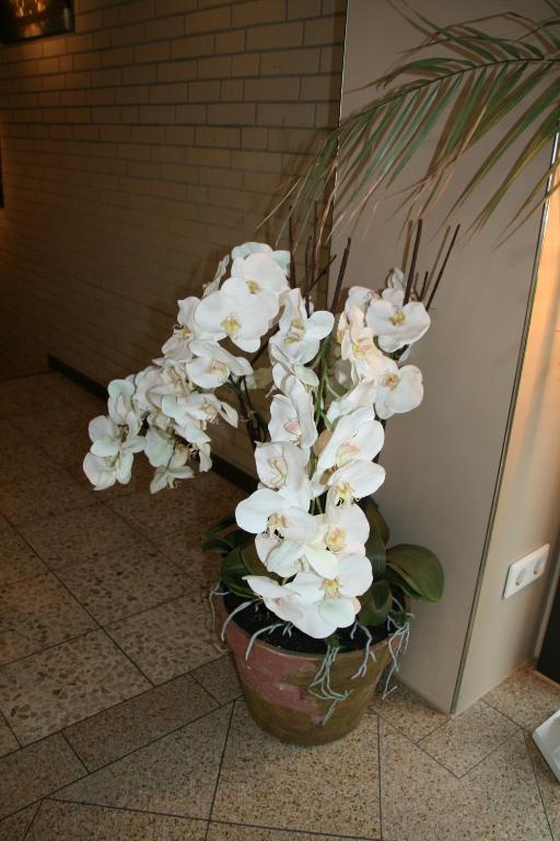 Albertus Paris Aparthotel Hamburgo