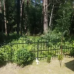 romantisches kleines altes Häuschen im Zauberwesenwald