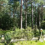 romantisches kleines altes Häuschen im Zauberwesenwald