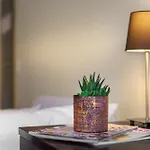Hotel Alte Wache