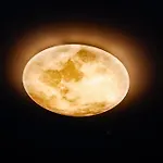 Sleephotels Cosmos