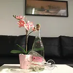Apartment Souterrain