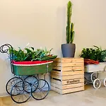 Sandmann Boutique Hostel Hotel