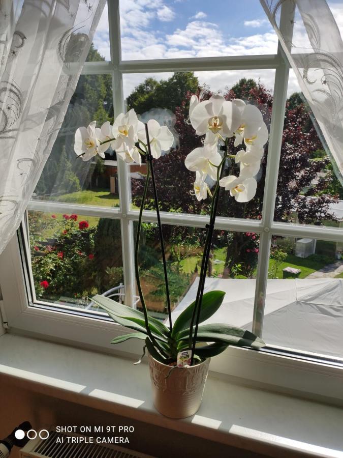 Apartment Blumen *