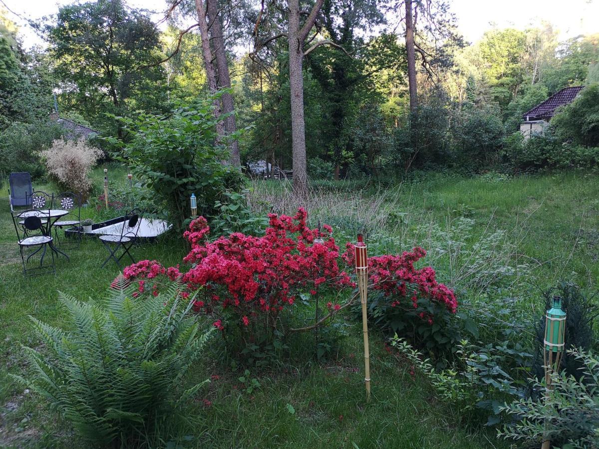 Ferienhaus Romantisches Kleines Altes Häuschen Im Zauberwesenwald Hamburg