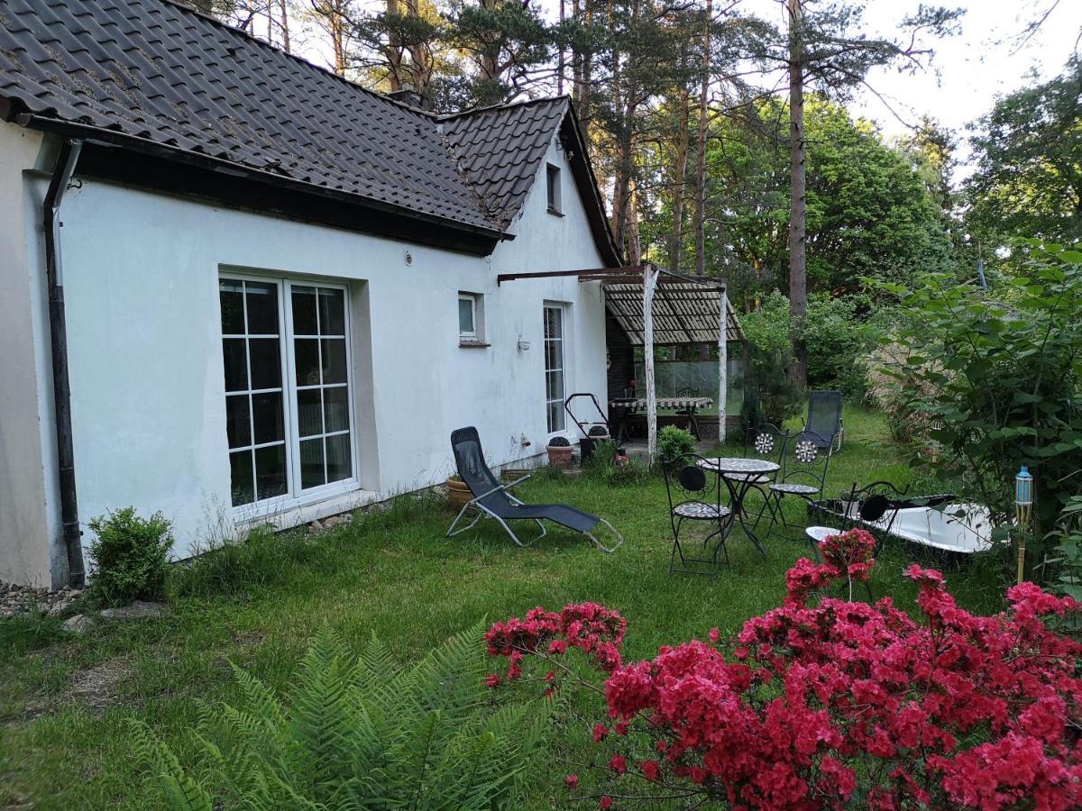 Ferienhaus Romantisches Kleines Altes Häuschen Im Zauberwesenwald *
