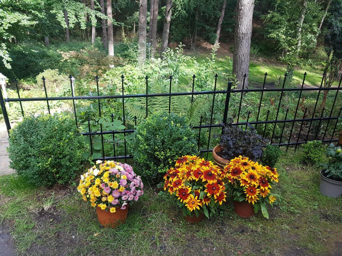 Romantisches Kleines Altes Häuschen Im Zauberwesenwald Ferienhaus *