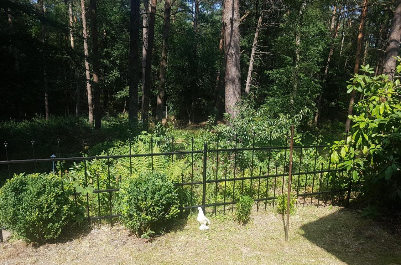 Romantisches Kleines Altes Häuschen Im Zauberwesenwald Ferienhaus Hamburg