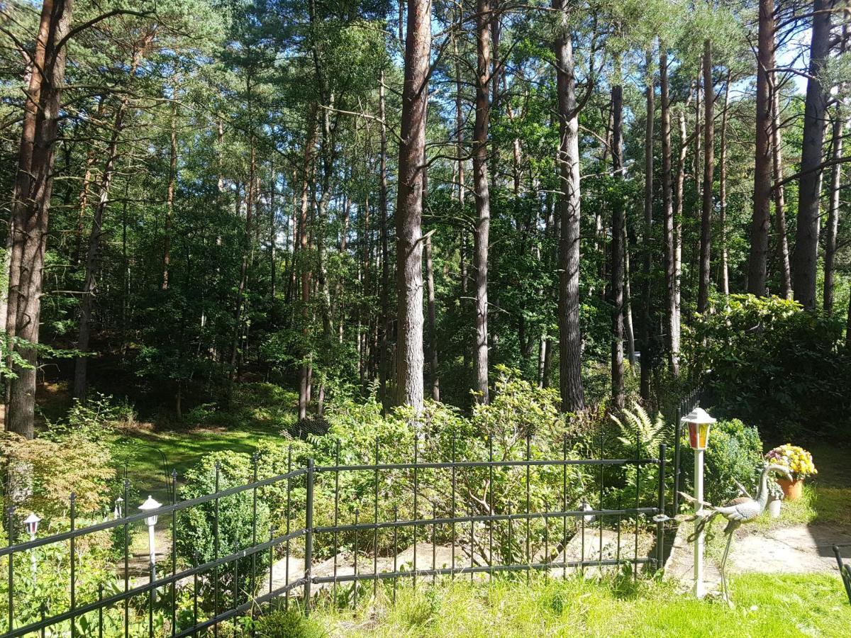 Ferienhaus Romantisches Kleines Altes Häuschen Im Zauberwesenwald