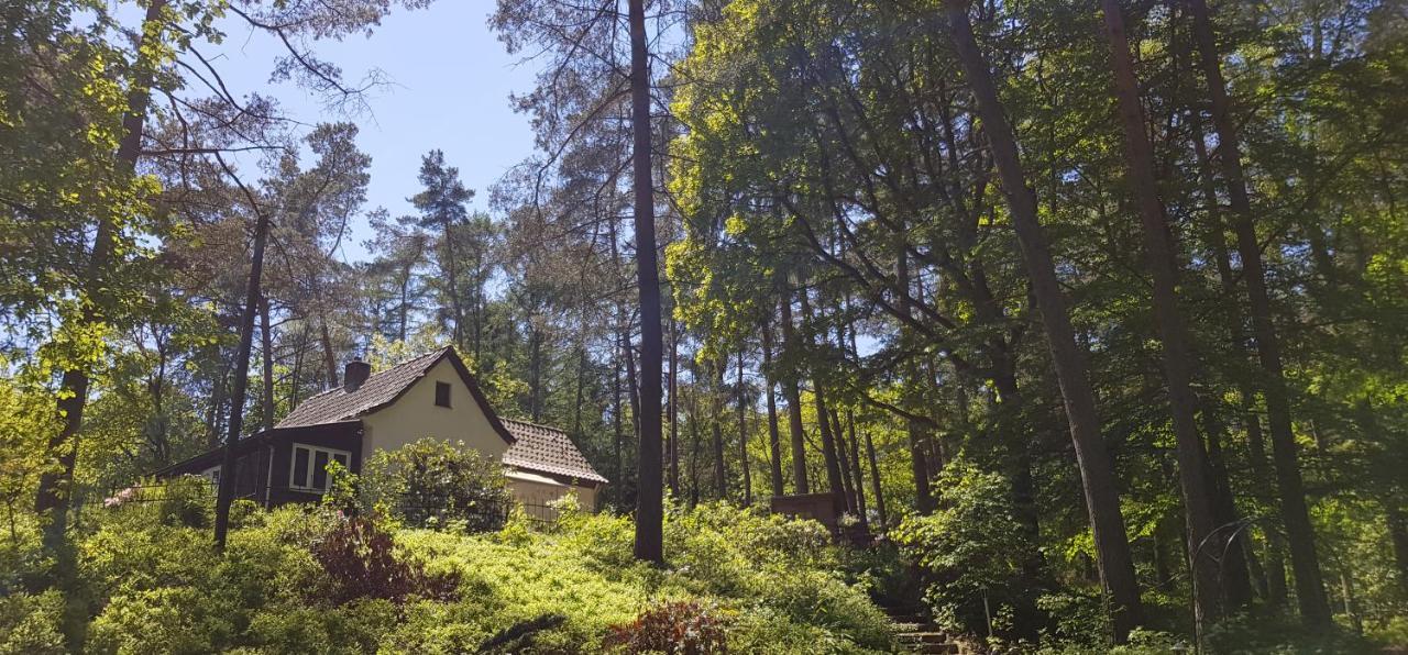 Romantisches Kleines Altes Häuschen Im Zauberwesenwald Hamburg