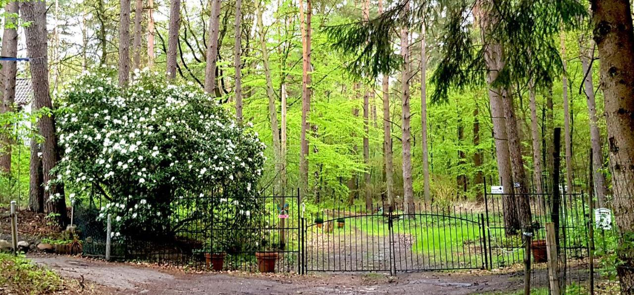 Romantisches Kleines Altes Häuschen Im Zauberwesenwald