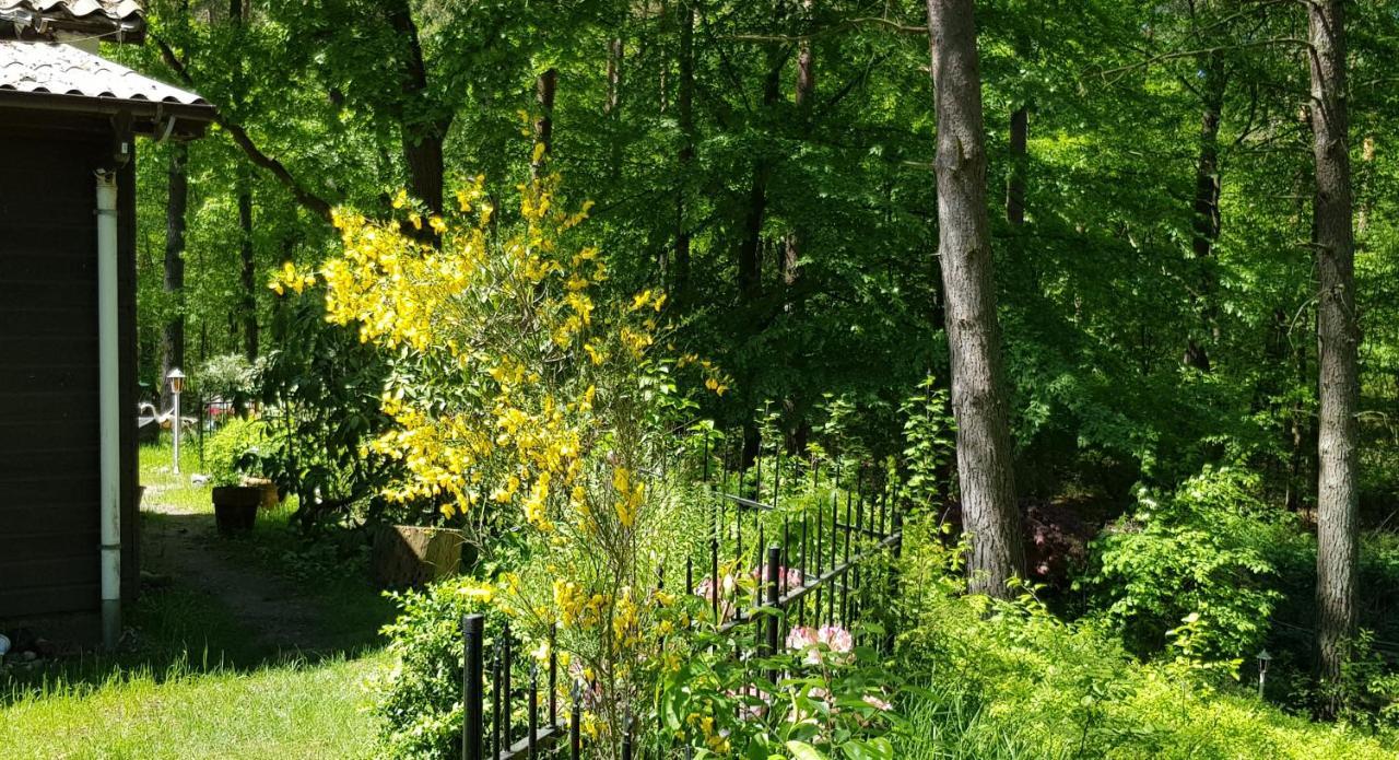 Ferienhaus Romantisches Kleines Altes Häuschen Im Zauberwesenwald *