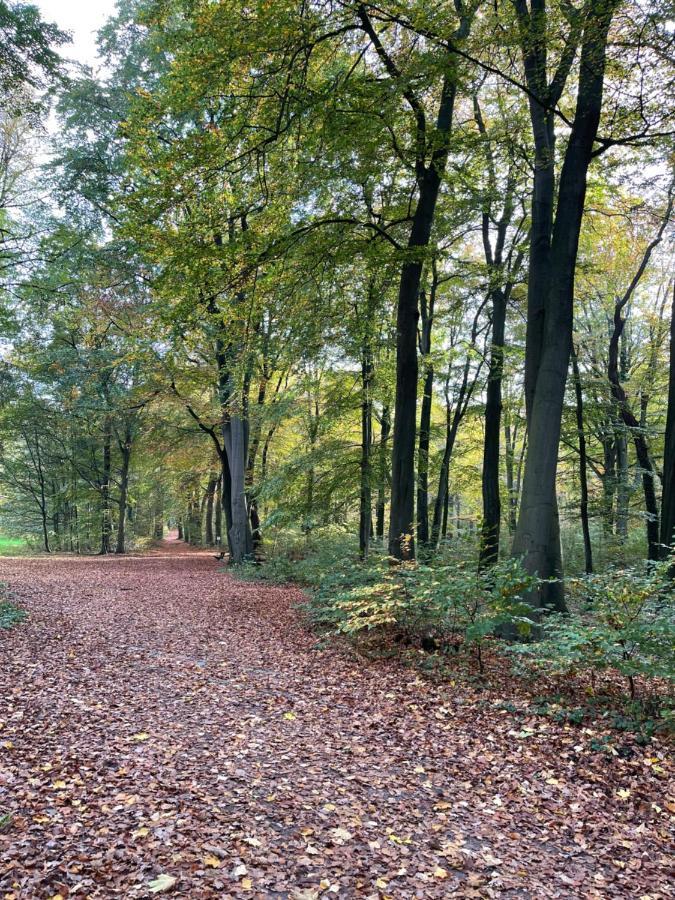 Accommodatie bij particulieren Five Oaks Sky