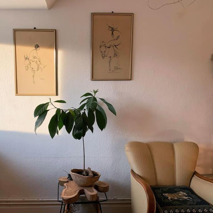 Apartamento Artist Apartment, Skyline View & Breakfast Inclusive *