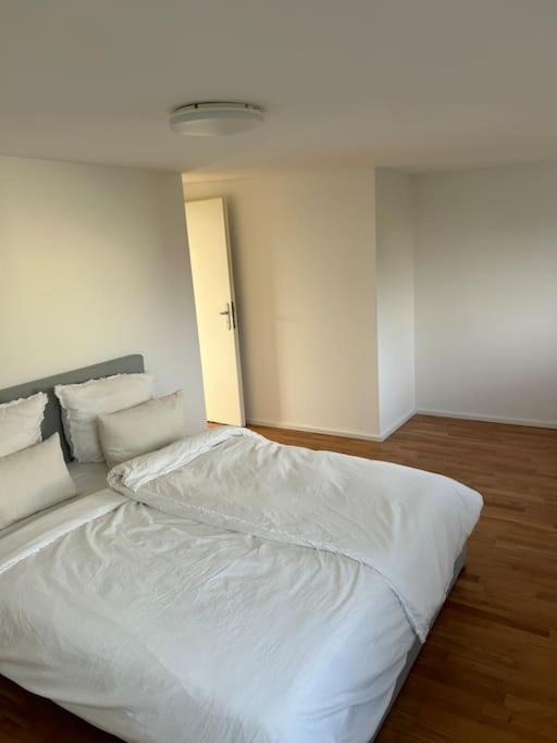 Aussenalster Penthouse Charakter Appartement *