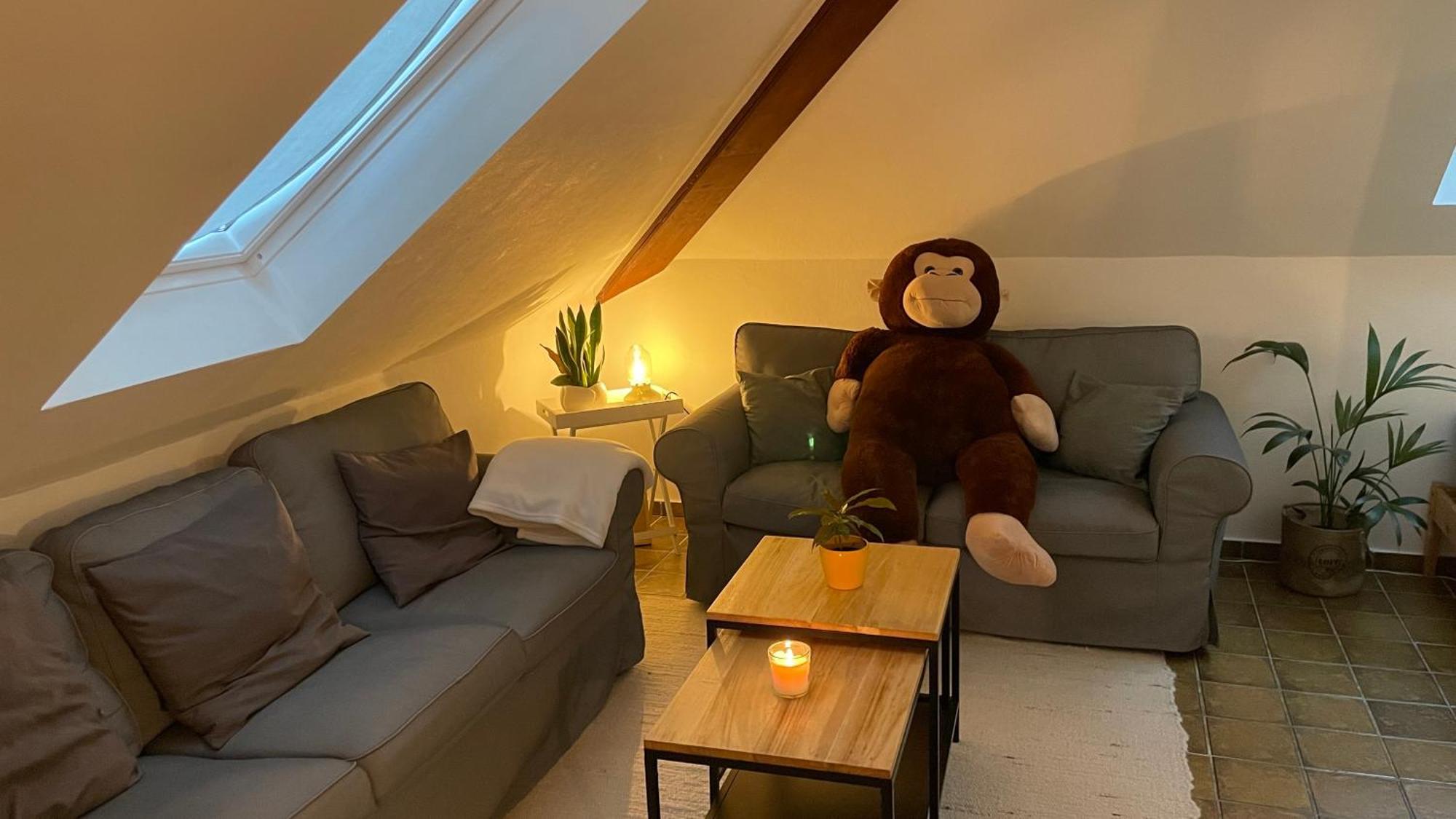 Accommodatie bij particulieren Five Oaks Sky