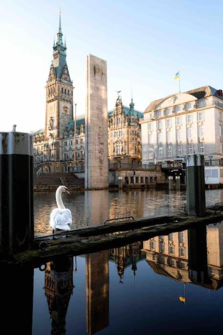 Apartment Modern, Ruhig, Gemuetlich: 2 In Bester Lage Nahe Alster + Stadtpark *