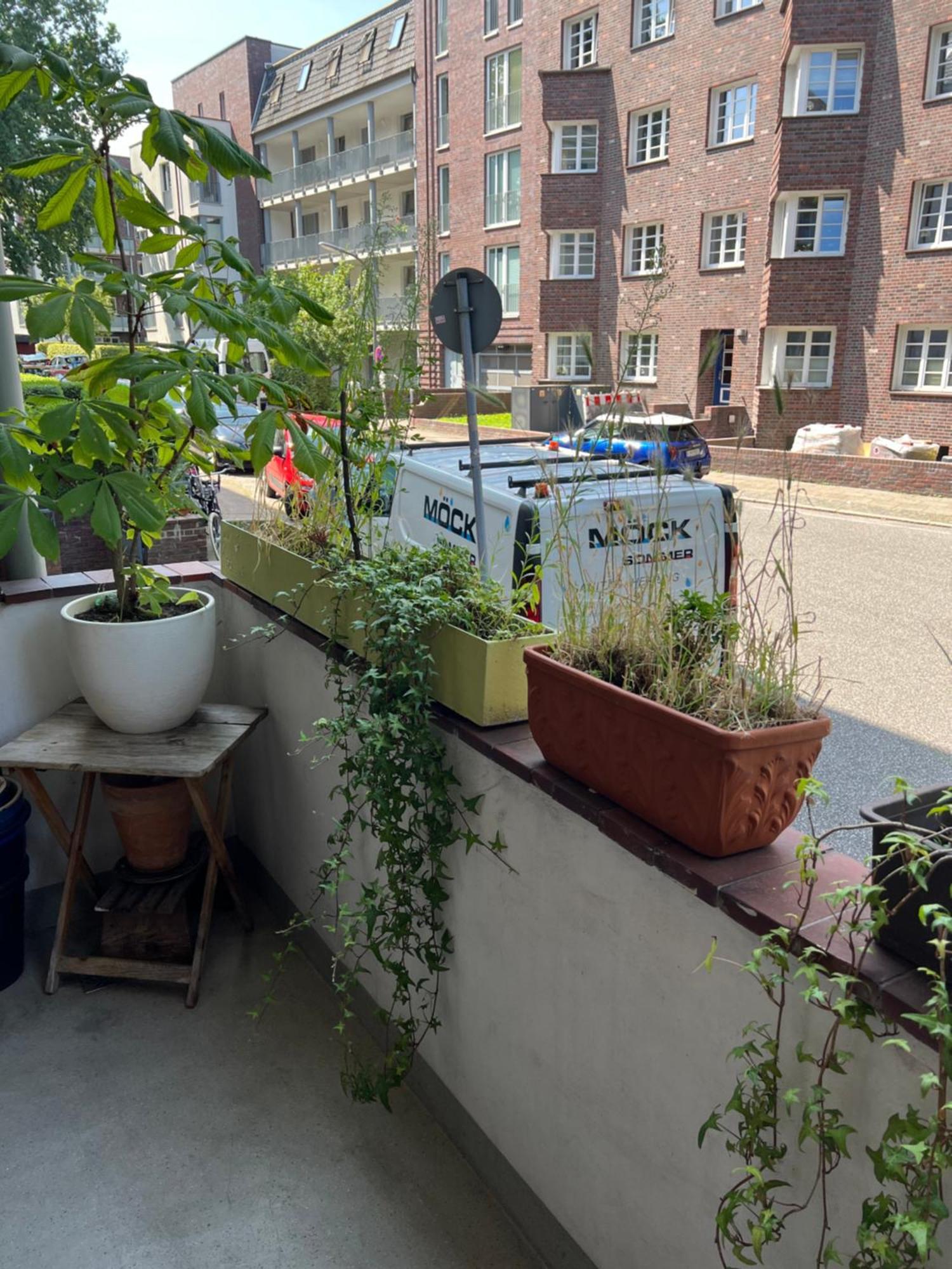 Hospedagem domiciliar Zwischen Stadtpark Und Alsterlauf Budget *