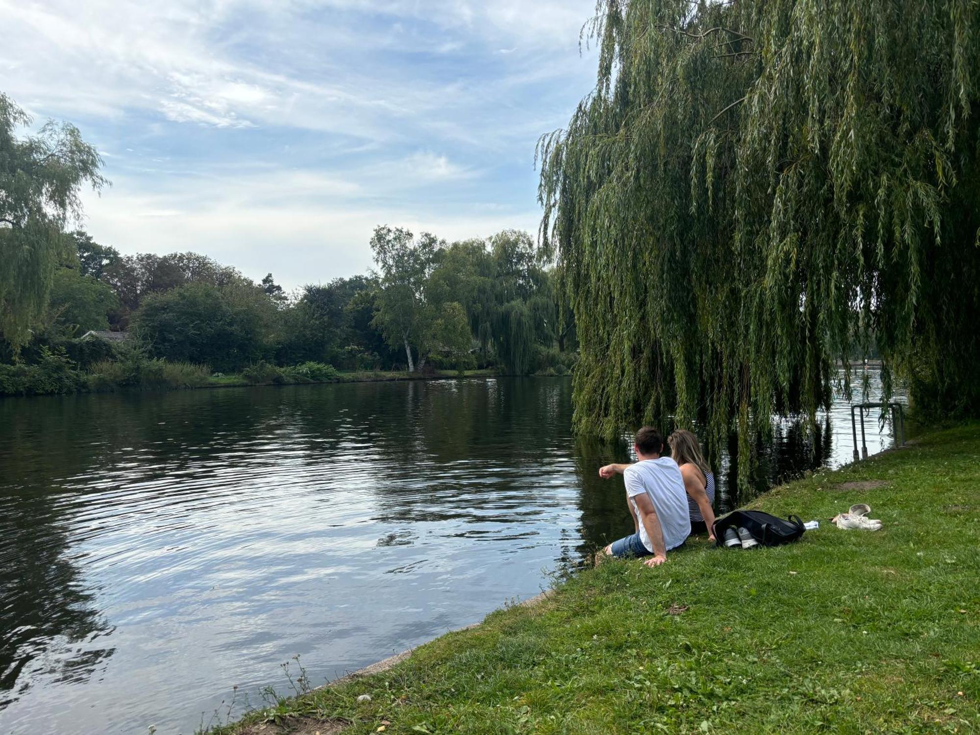 Apartment Zimmer Im Gruenen An Der Alster