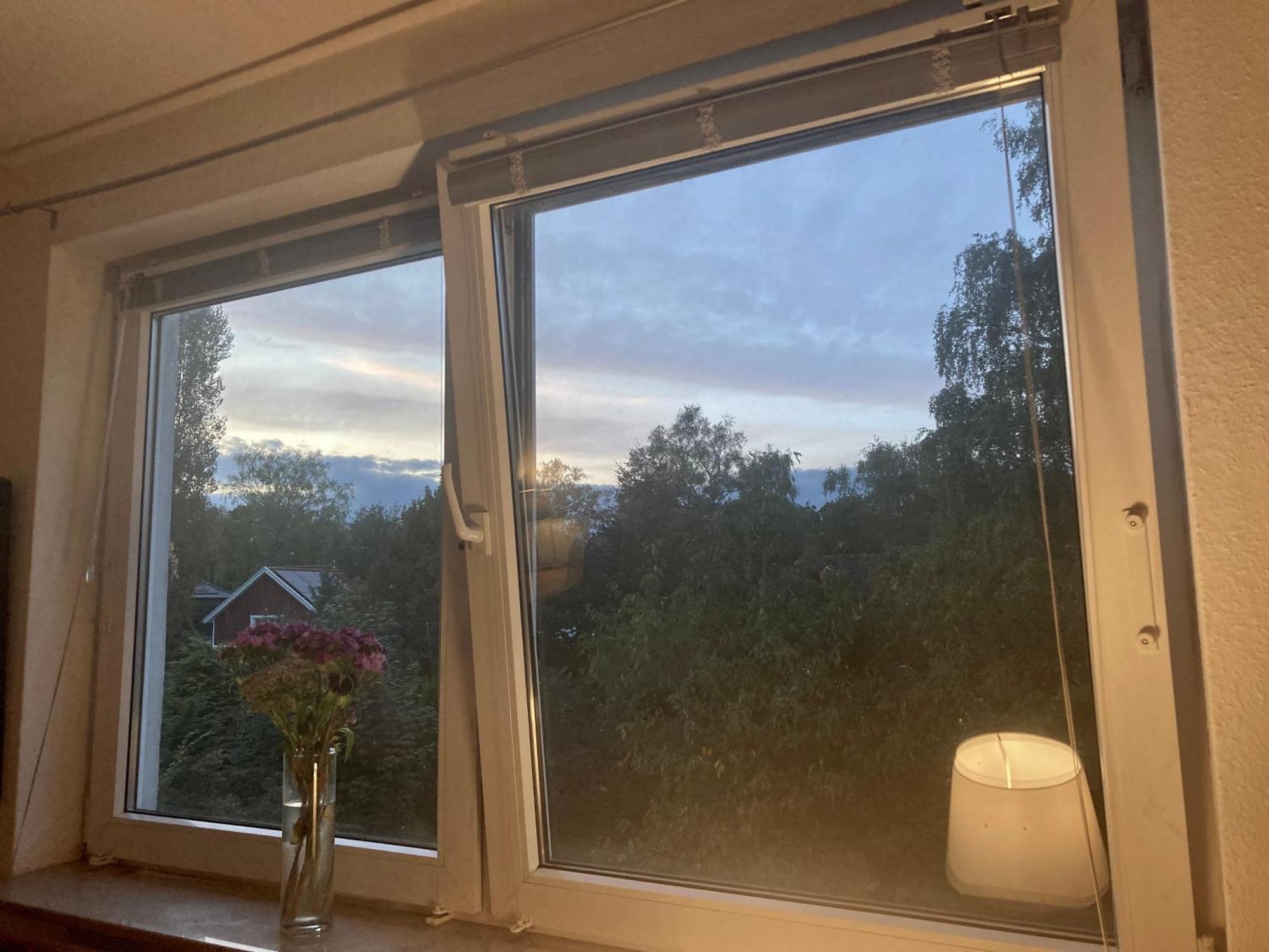 Homestay Am Volkspark - Naehe Arenen Und Trabrennbahn *