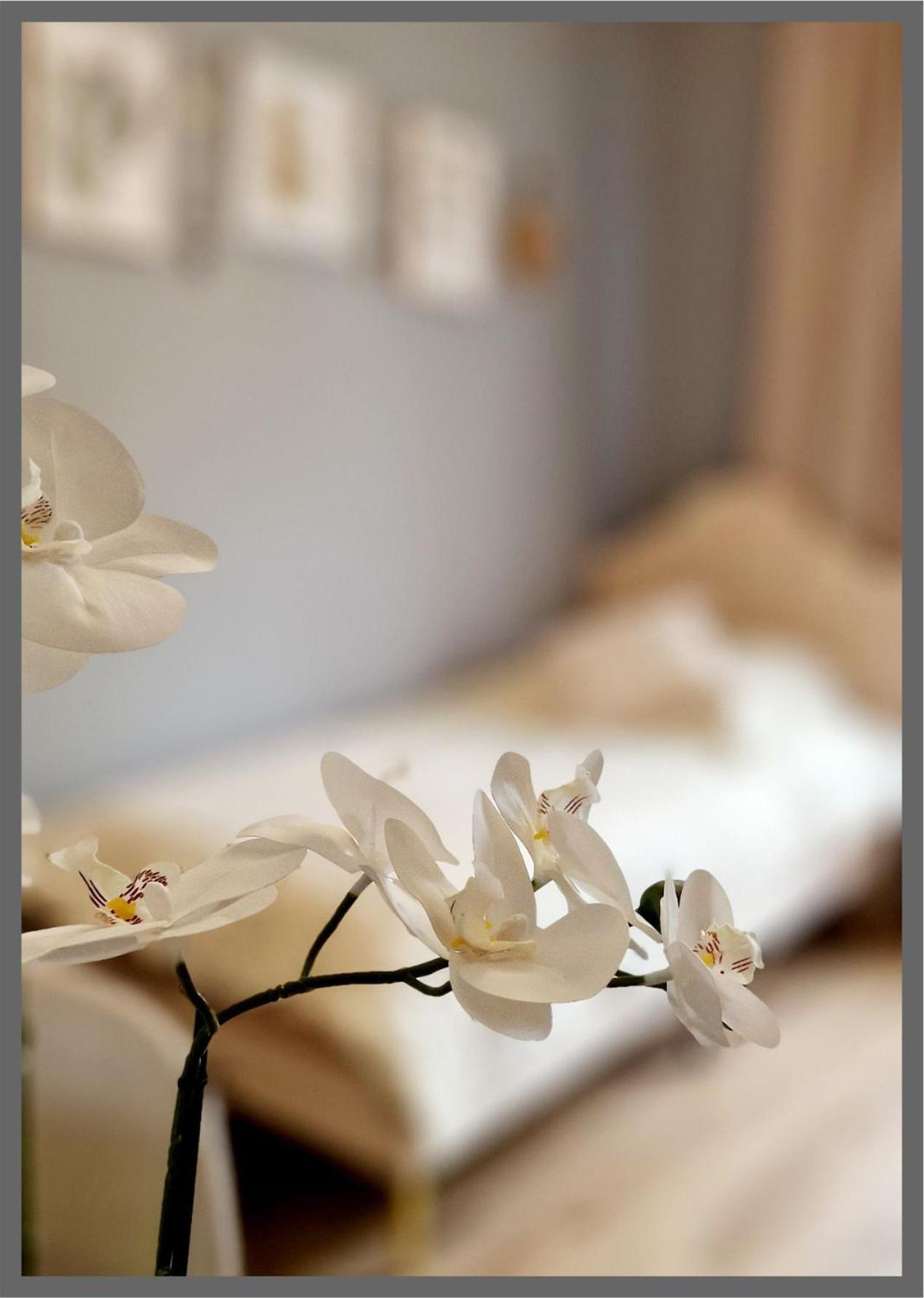 Homestay My Bed Bergedorf *