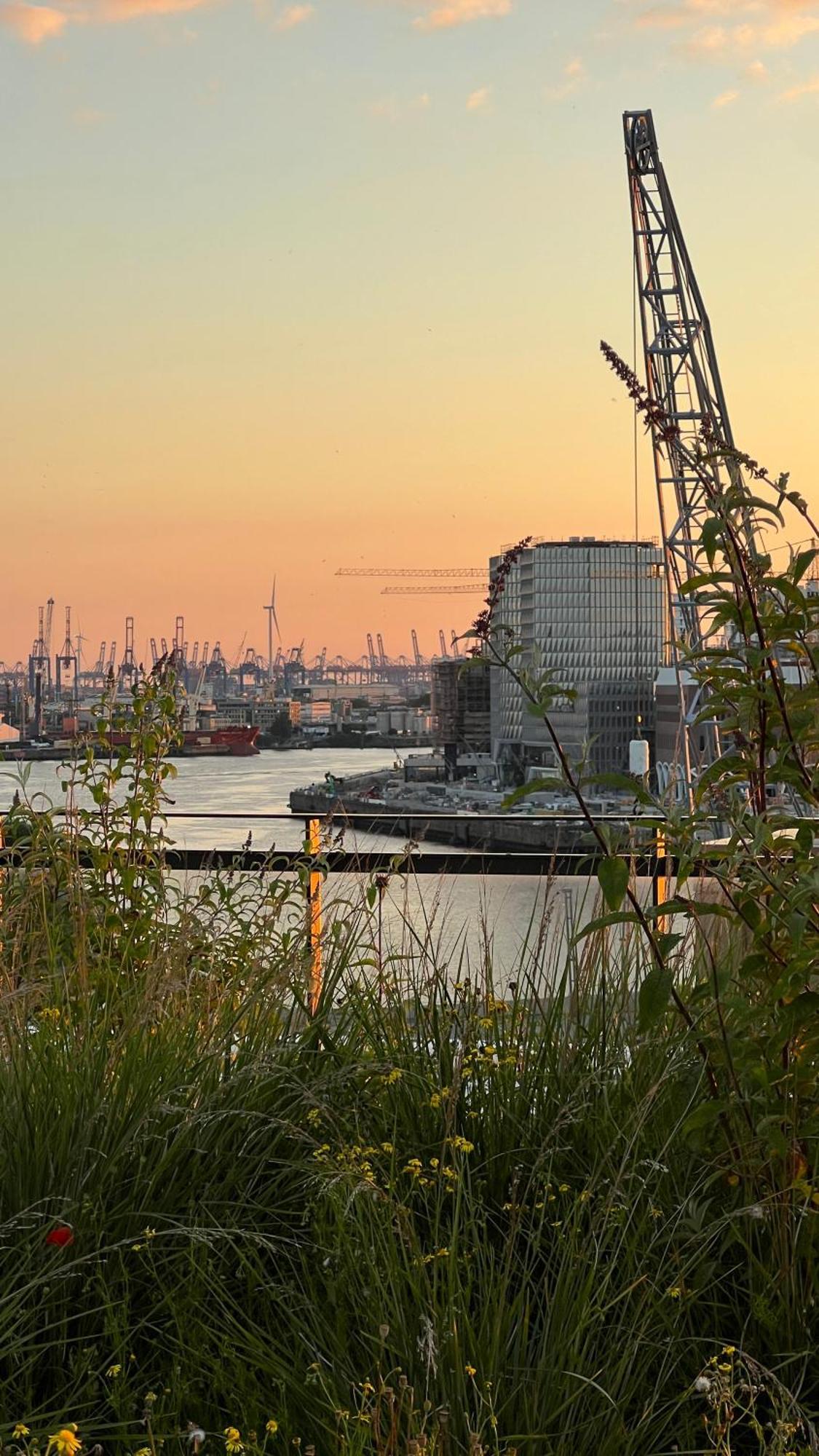 Moderne Hafencity *