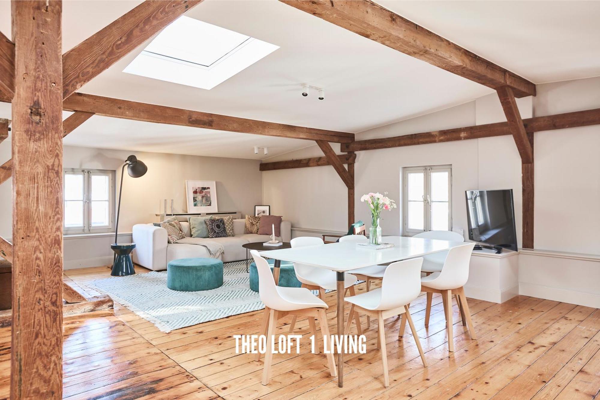 Appartement Theoloft *