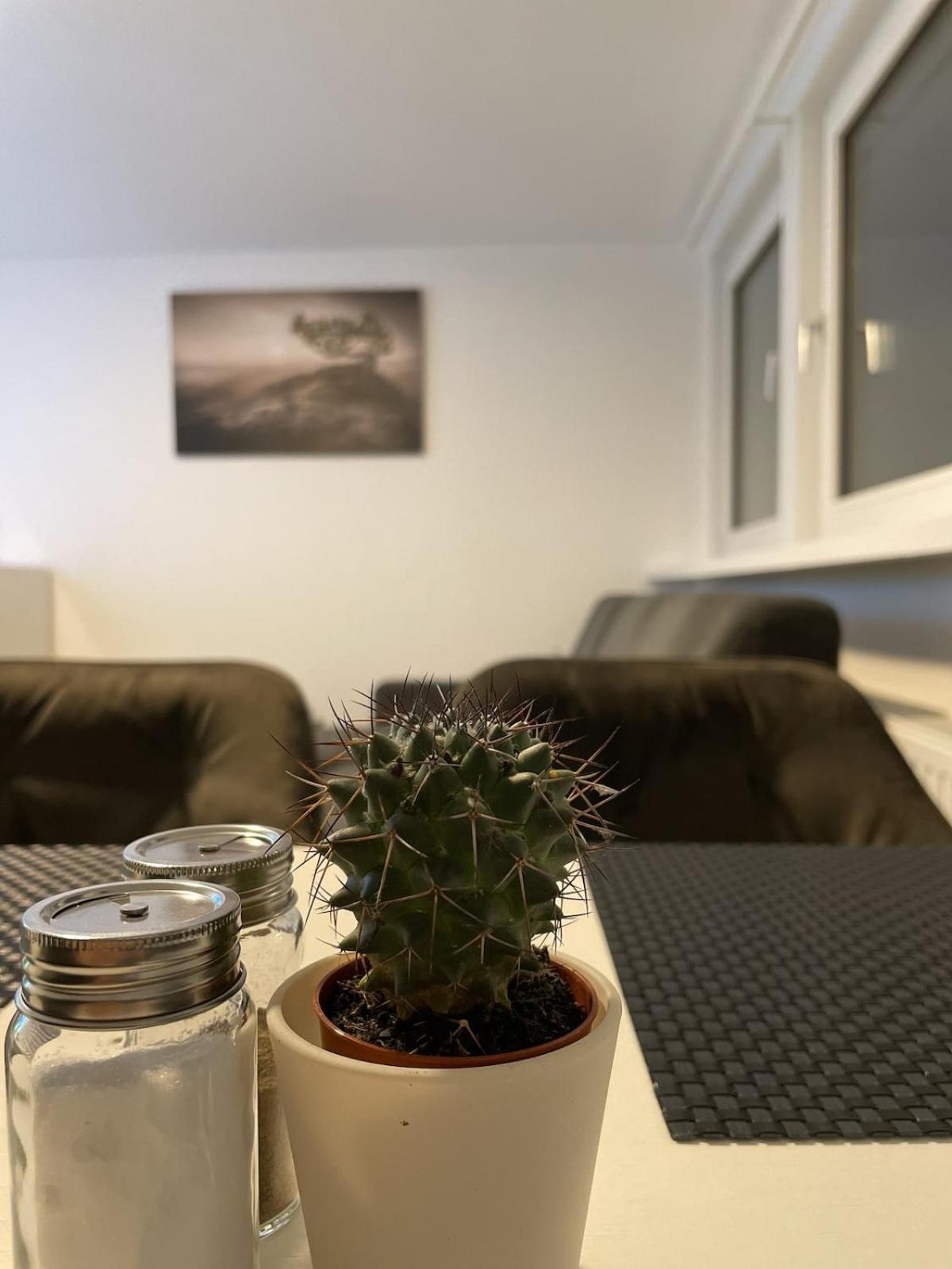 Modern Comfort In 3 Apartment *