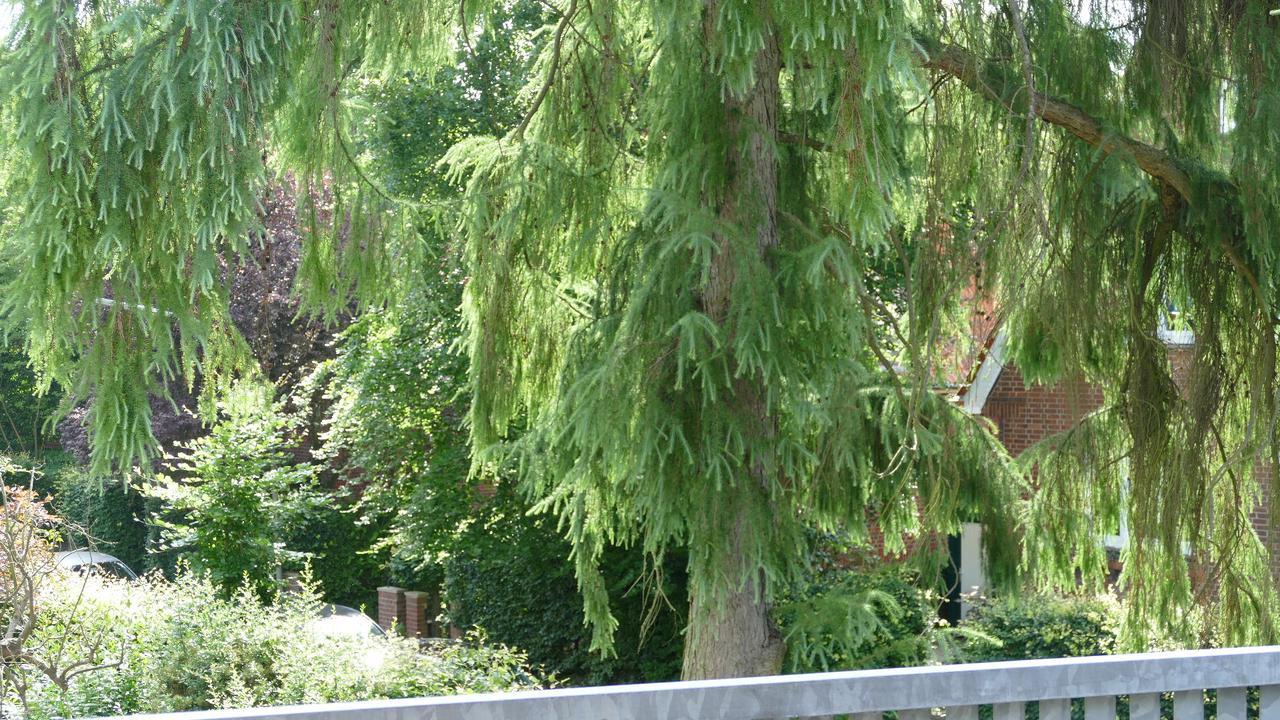 Accommodatie bij particulieren Alsterdorf
