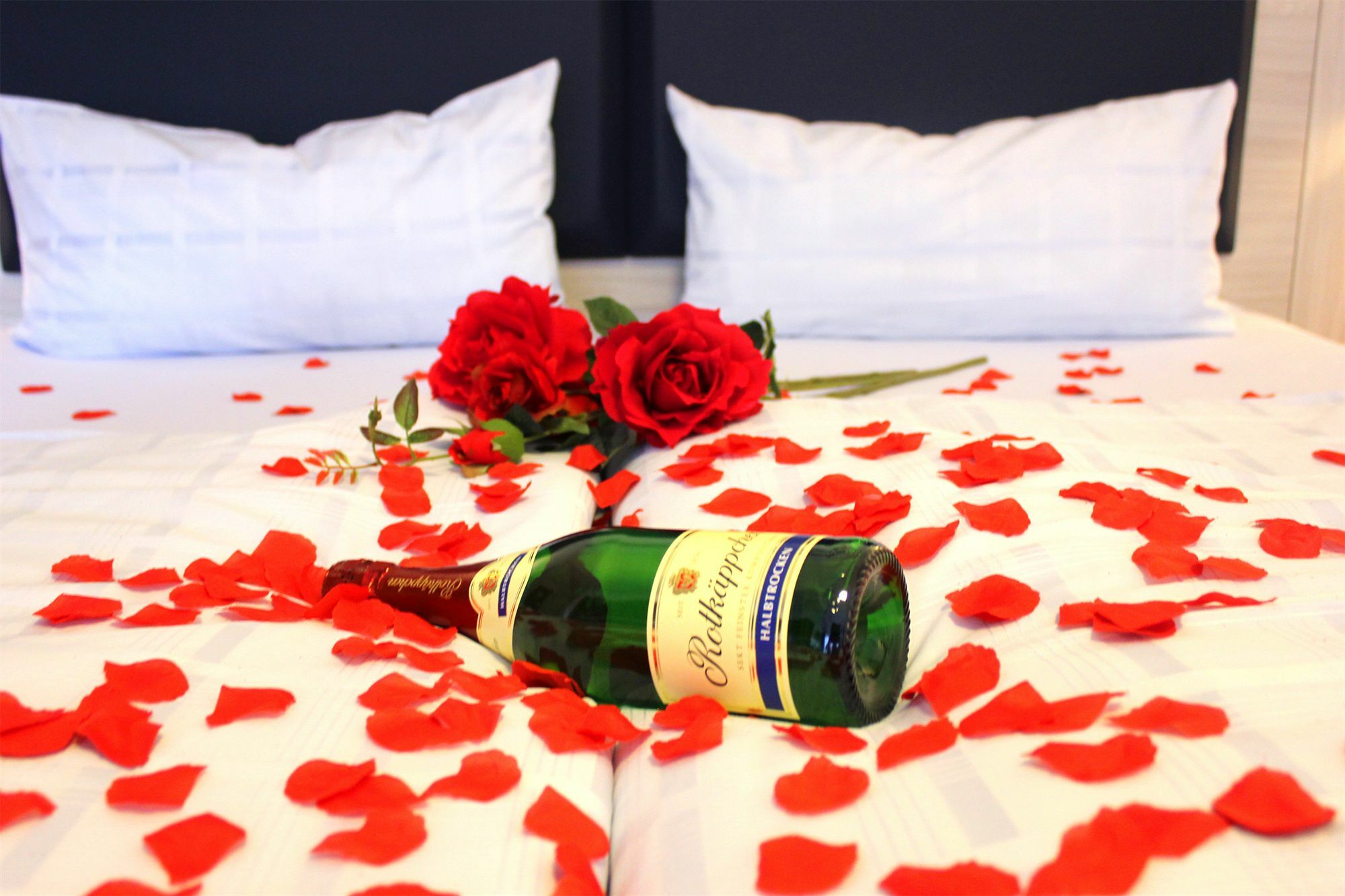 Hotel Hotel Altenwerder Hof 3*