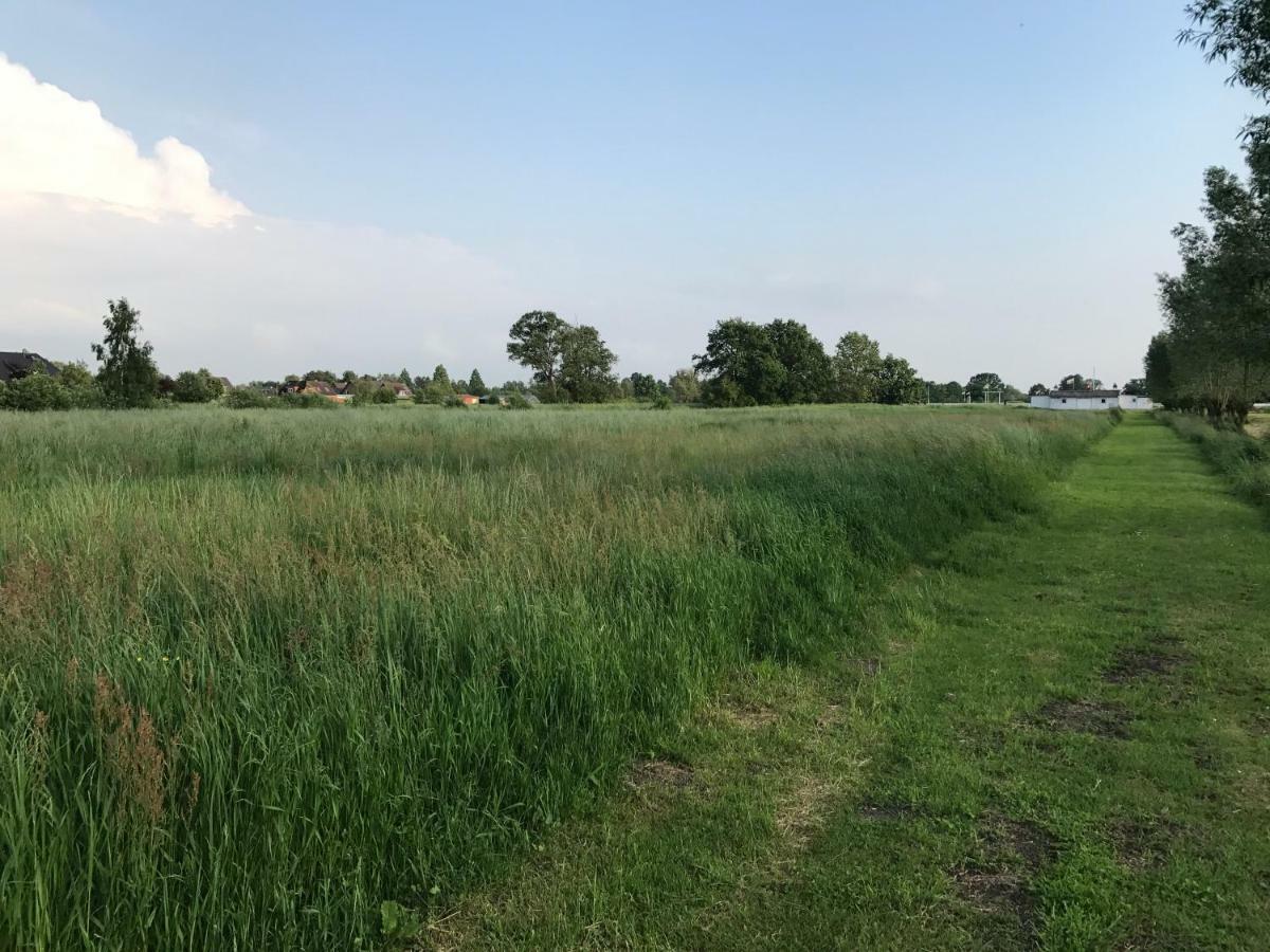 Am Elberadweg * Hamburg