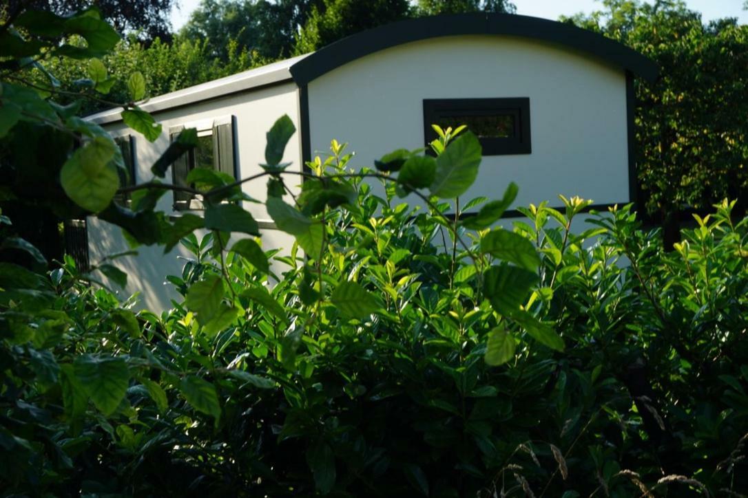 Ferienhaus Pipo *