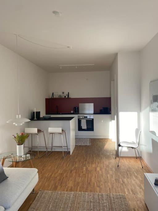 Apartment Modernes Im Scandinavian Design