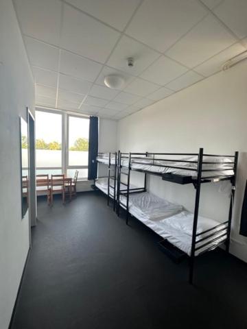 Albergue Arena & Monteurzimmer Hamburgo