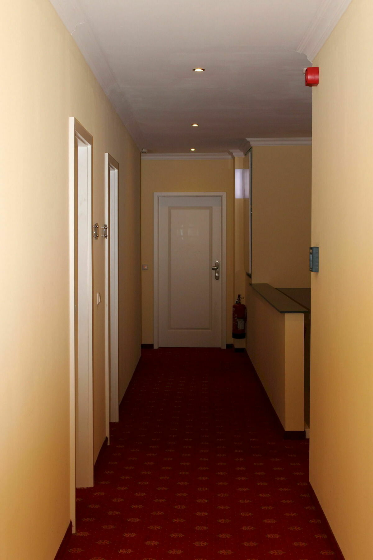 Gruene Tanne Hamburgo