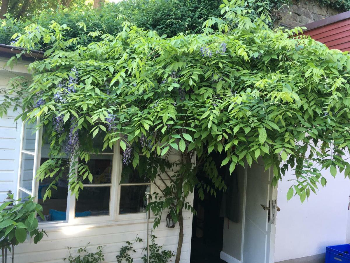 Holiday home Fischerhaus Am Blankeneser Elbhang *