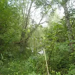 Wohnen im Grünen