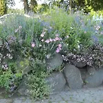 Wohnen im Grünen