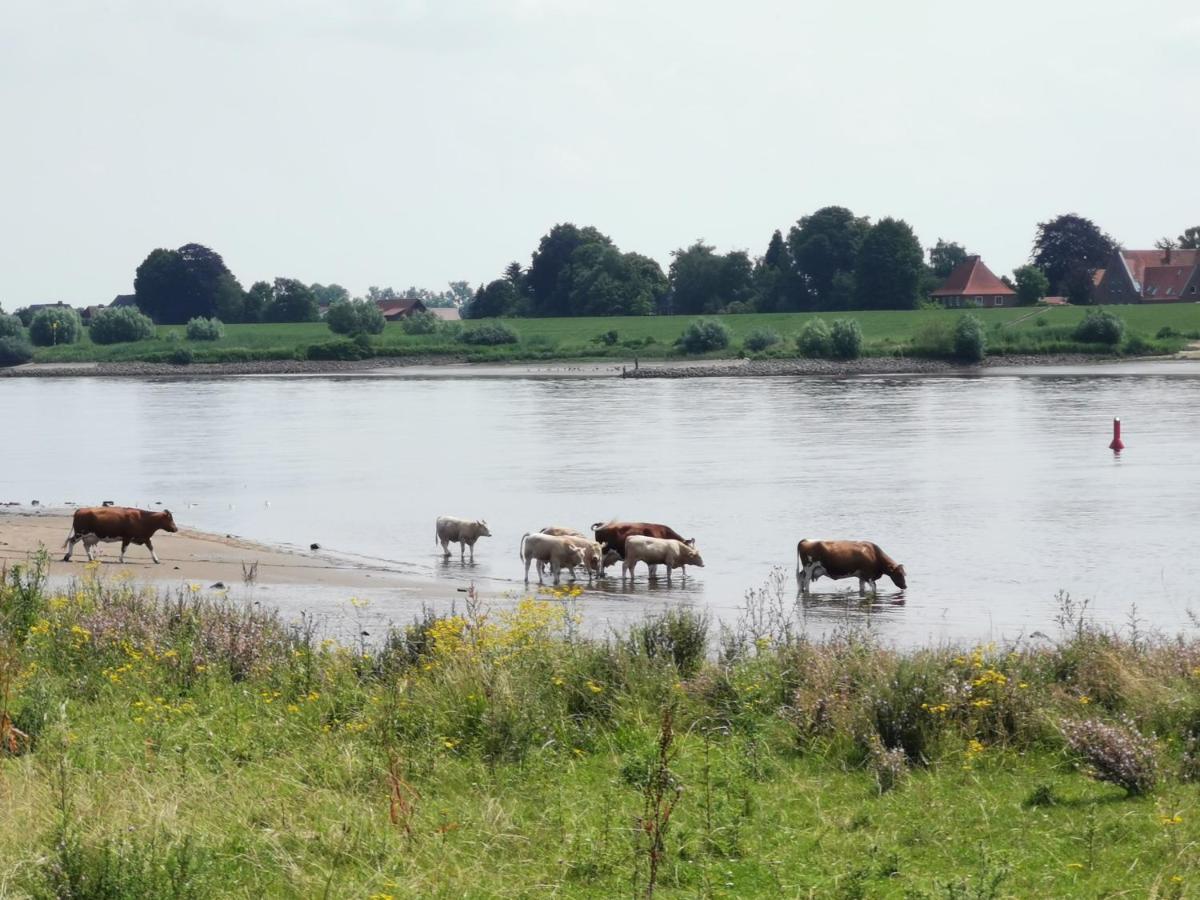 Haus Am Deich 47 Stilvolles An Der Elbe In Stadtnaehe Ferienhaus *