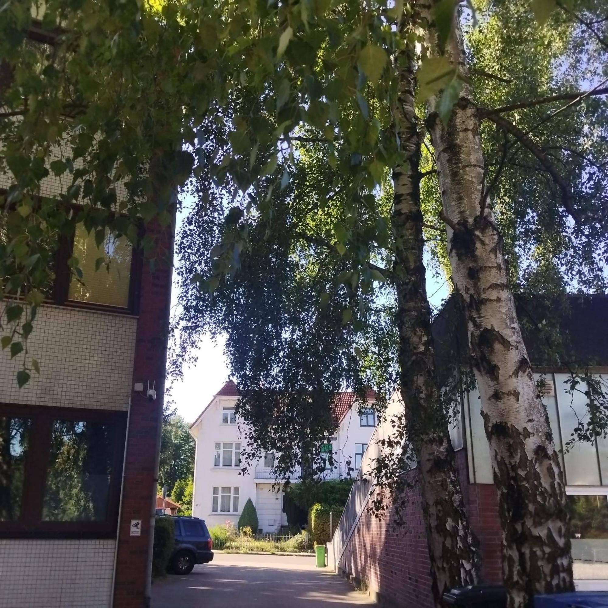 Hostel Monteurzimmer In West Bei Hansezimmer