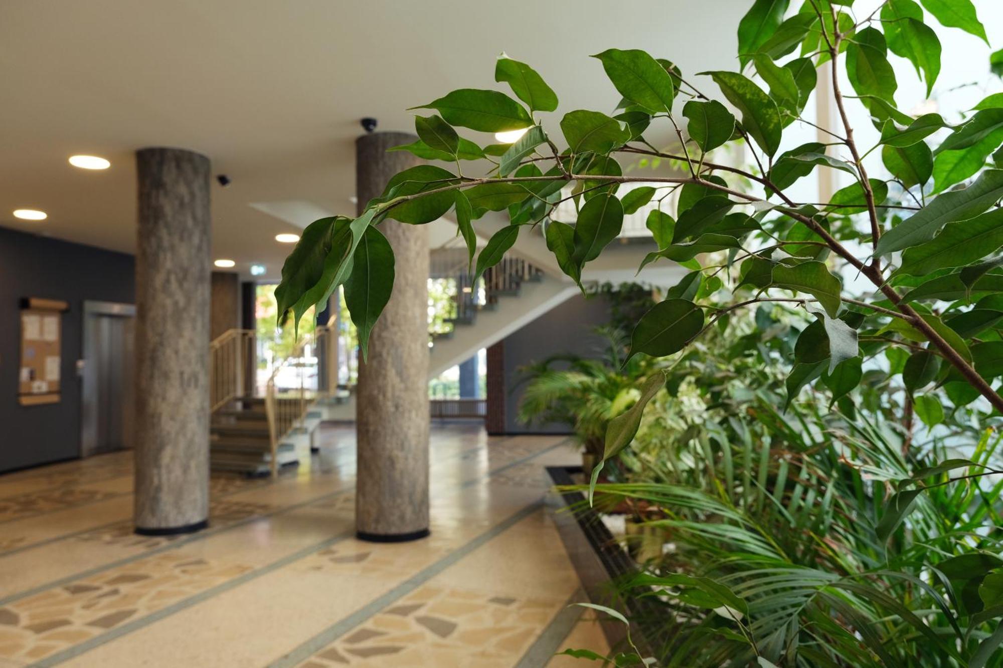 Hub Apartamento Hamburgo