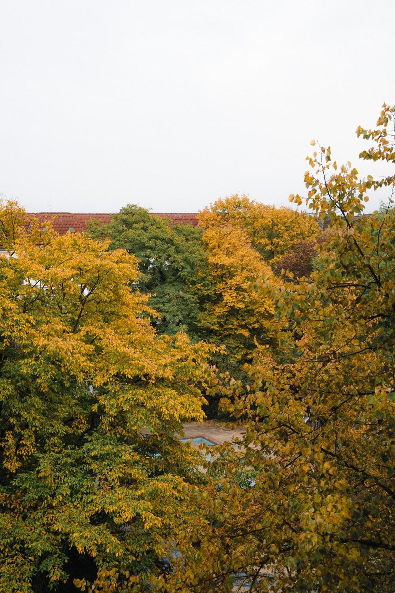 Modern, Ruhig, Gemuetlich: 2 In Bester Lage Nahe Alster + Stadtpark Apartment Hamburg