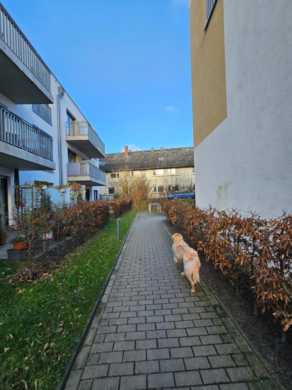 Sakura Apartamento Hamburgo