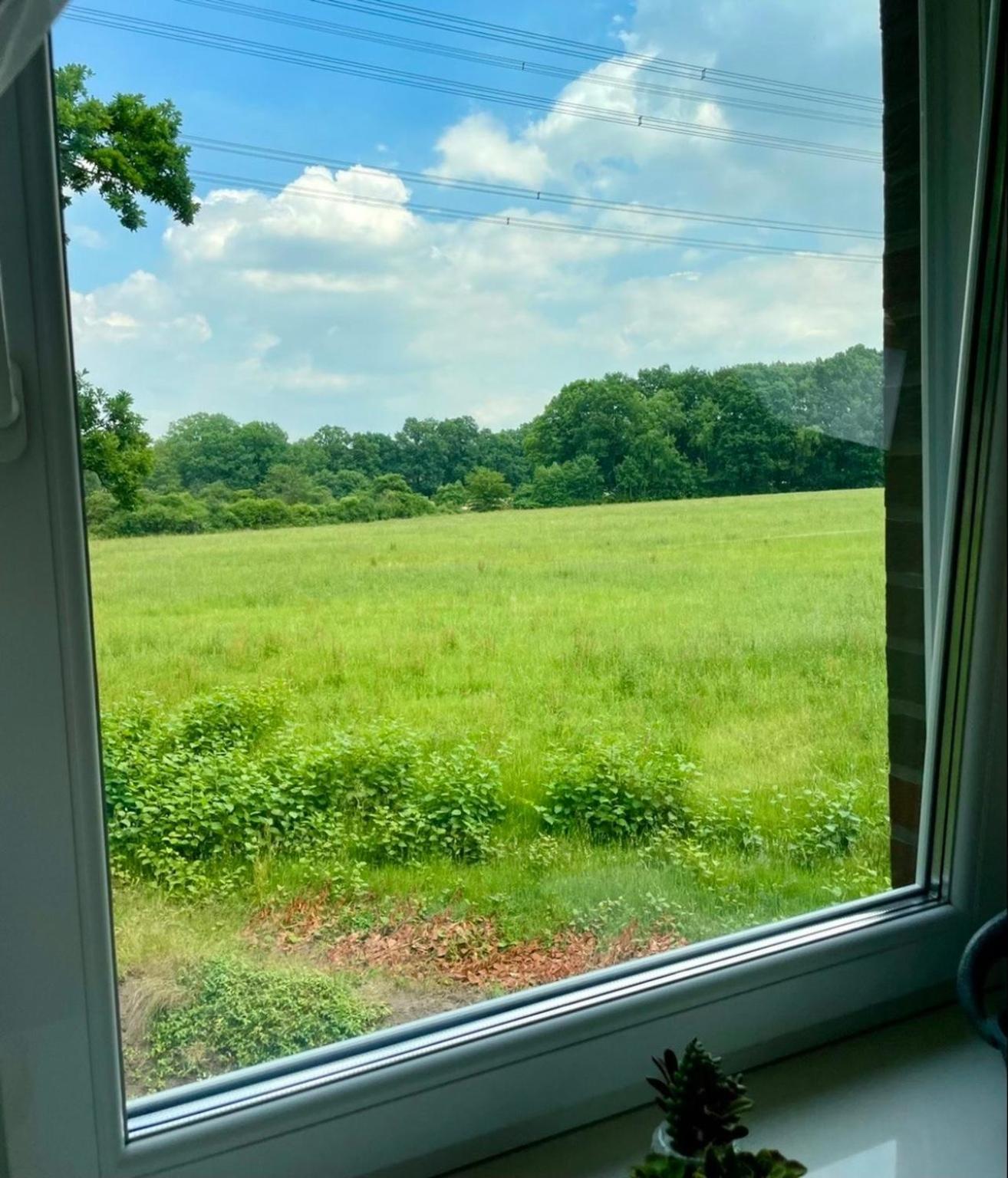 Apartment Familienfreundlichen Mit Traumhaft Gruener Aussicht