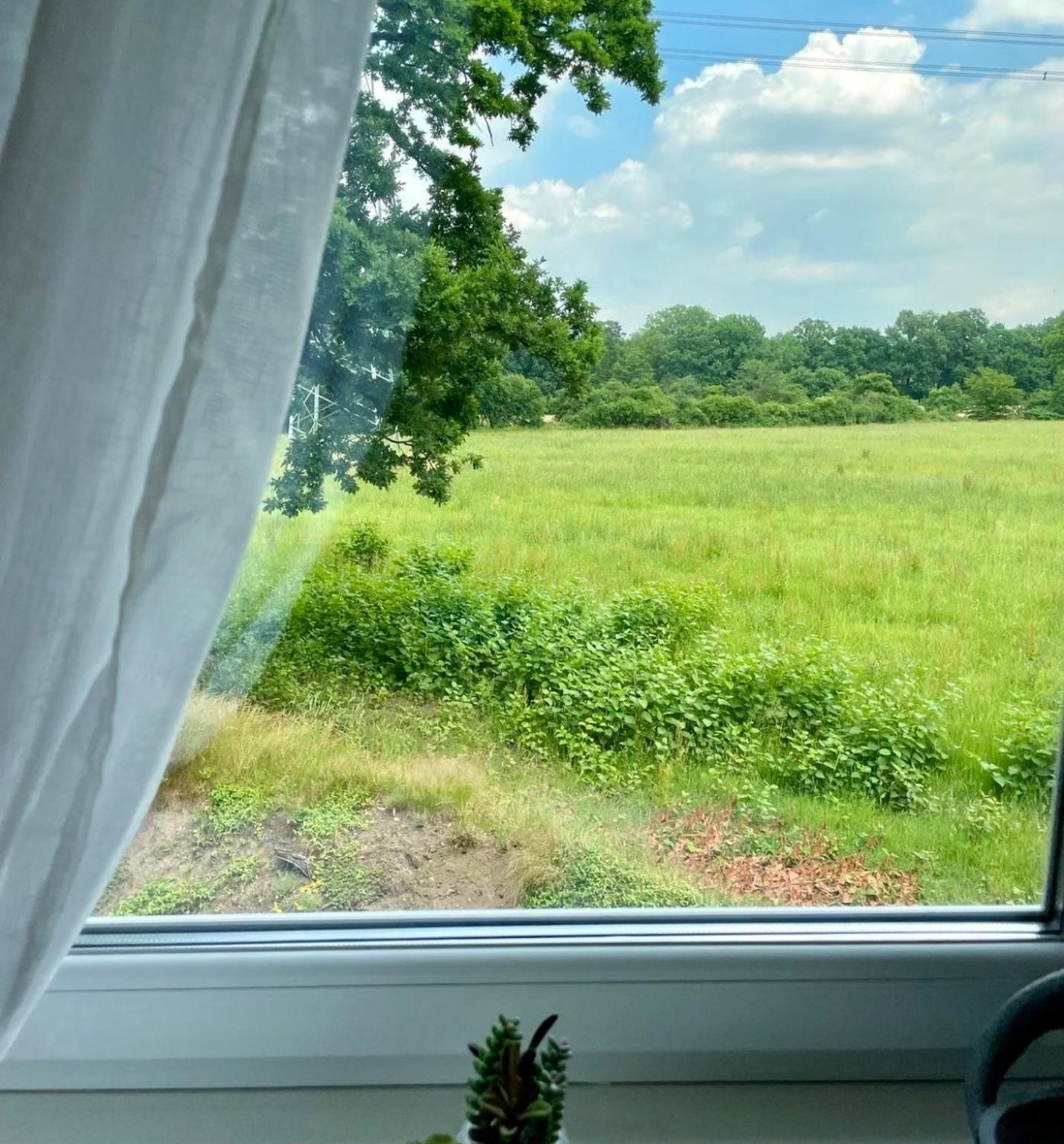 Apartment Familienfreundlichen Mit Traumhaft Gruener Aussicht Hamburg