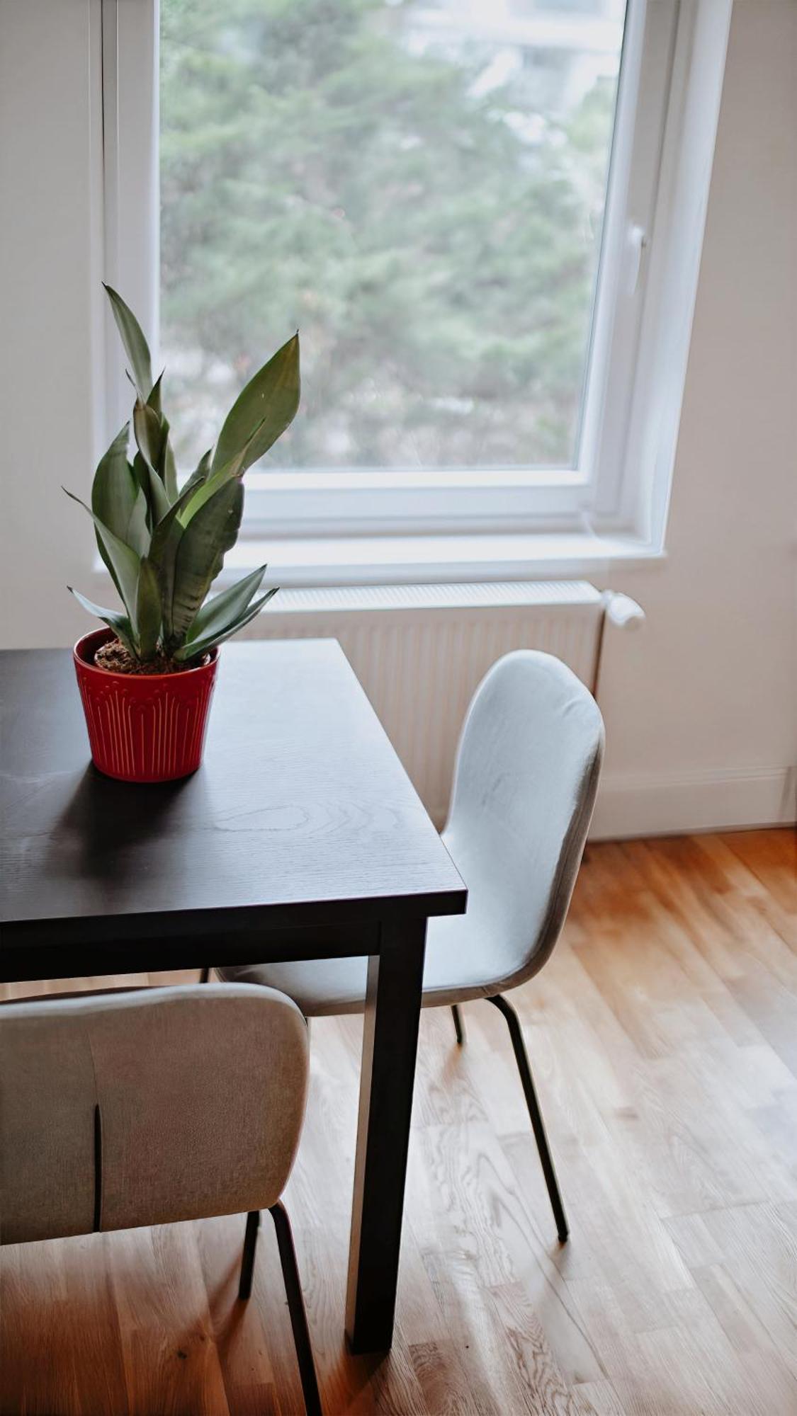 Apartment Stilvolle Und Zentrale