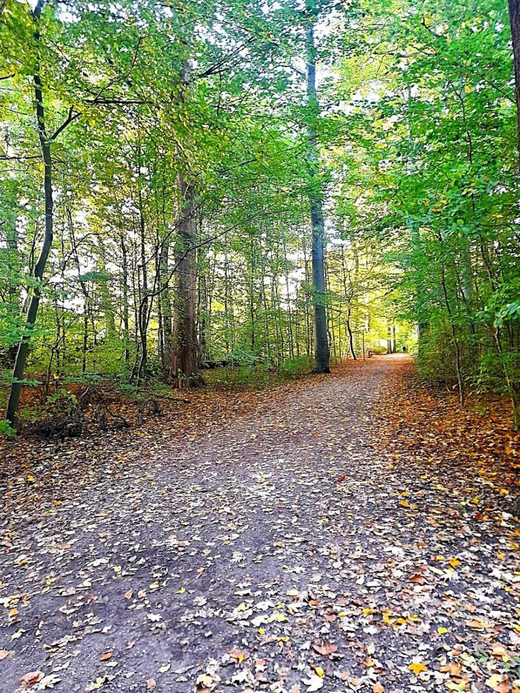 Private Cozy W Own Entrance, Spacious Bathroom, On-site Parking Apartment