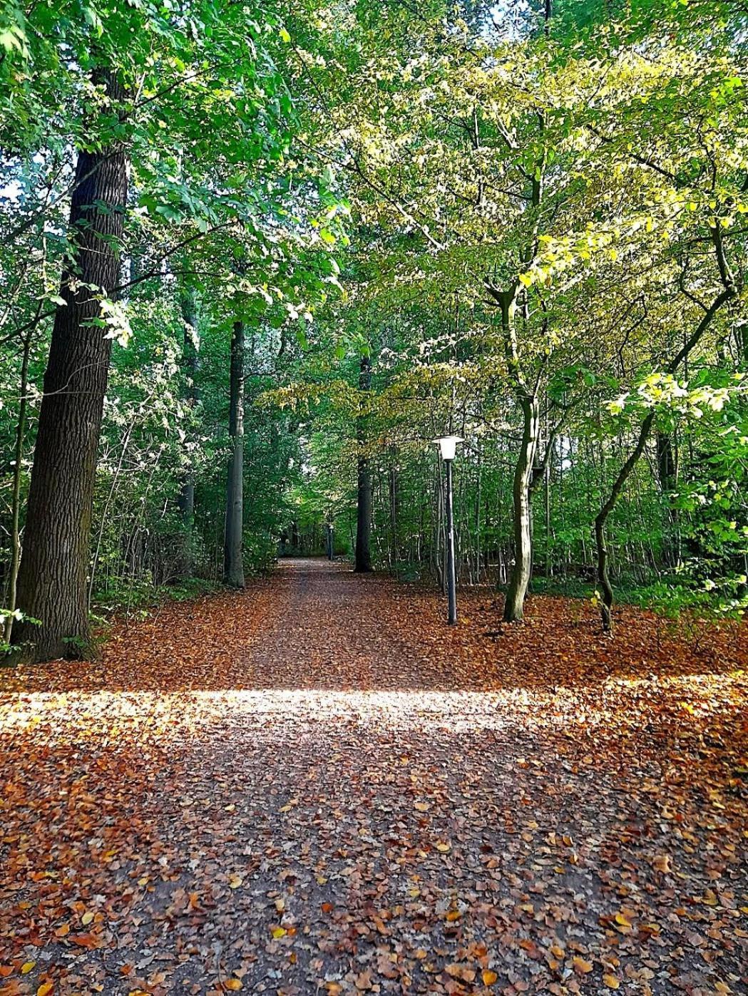 Private Cozy W Own Entrance, Spacious Bathroom, On-site Parking Apartment Hamburg